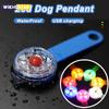 LED Pet Dog Cat Collar Pendant Night Safety Cat Luminous Light IPX7 Waterproof Flashing Harness With Light for Dog Accessories