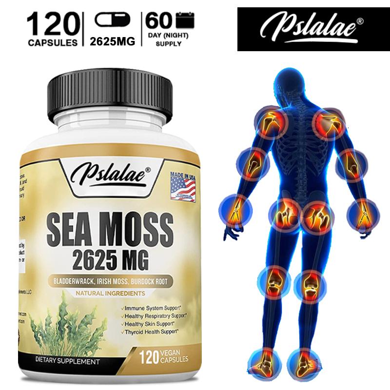 Irish Seaweed Bladder Capsules, thyroid support, digestive health, gluten-free, vegan, suitable for adults.