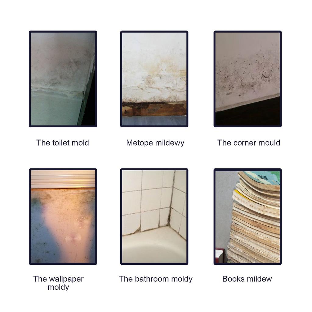 Jaysuing Mildew Removal Spray Ceiling Bathroom Tile Wall Multi-Effect Cleaning Decontamination Mildew Removal Spray