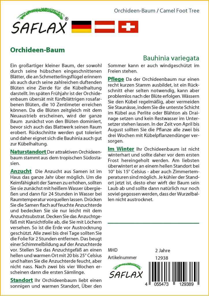 SAFLAX Дерево верблюжьей лапки - 8 семян - Bauhinia variegata