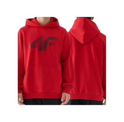 Толстовка 4F 4FWMM00TSWSM1766-062S