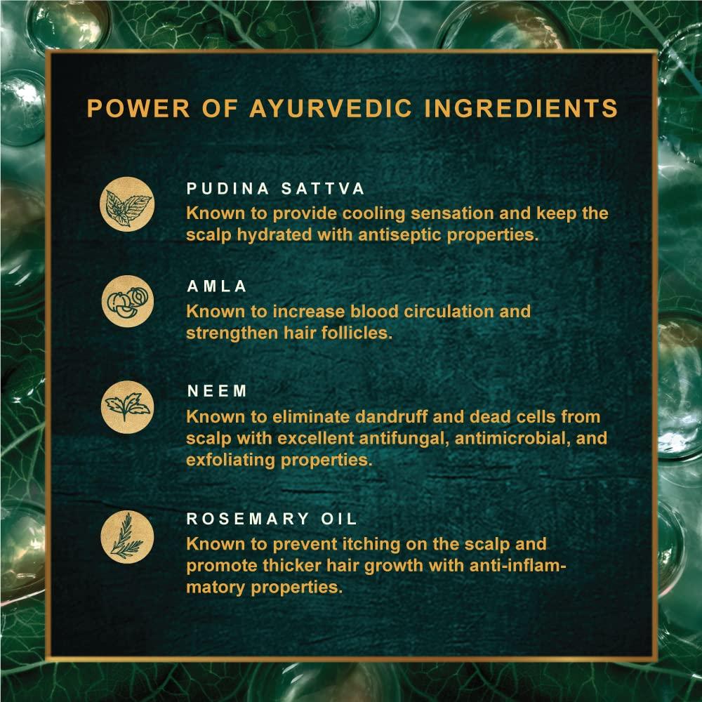 Indulekha Anti Dandruff Shampoo 580 Ml For Scalp Health, Oil Control, Itch Relief, Rosemary And Amla, Paraben Free, For Men And Women