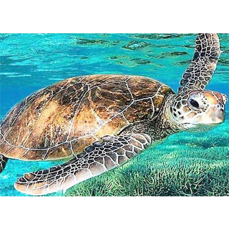 Алмазная картина Морская звезда, полная квадратная мозаика, художественная Алмазная вышивка, пейзажная картина из стразов, украшение для дома