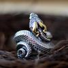 Vintage Male Snake Ring Adjustable Opening Metal Animal Ring Hip Hop Rock Men Women Anillos Retro Jewelry Gifts