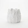 Decorative White Leaf-shaped Pot for Plants