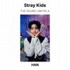 Stray Kids THE SOUND LIMITED A Официальная фотокарточка