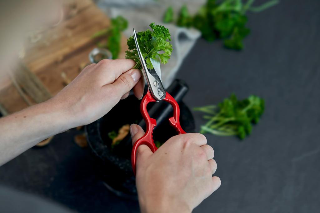 Zwilling Cooking Scissors Stainless Steel Kitchen Scissors Made In Germany Japanese "Classic Red" [Authorized Product] 43924-200