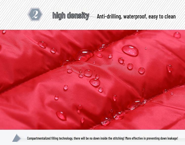 Женский легкий пуховик с V-образным вырезом, 2025: Повседневная, без воротника, короткая, верхняя одежда больших размеров