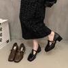 Fashion 2024 New Autumn Women Pumps Square Toe Leather Brown Buckle Strap Mary Janes Shoes Women Elegant French Style Party Dress Shoes