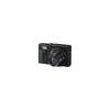 Компактная цифровая камера Panasonic LUMIX DC-TZ99-K с 30-кратным оптическим зумом