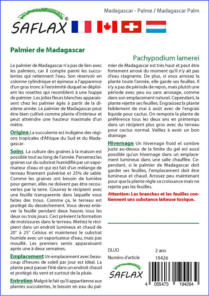 SAFLAX Garden in the Bag - Мадагаскарская пальма - 10 семян - С субстратом в подходящем пакете - Pachypodium lamerei