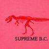 Supreme До нашей эры. Верх S/S SUP-FW22-728