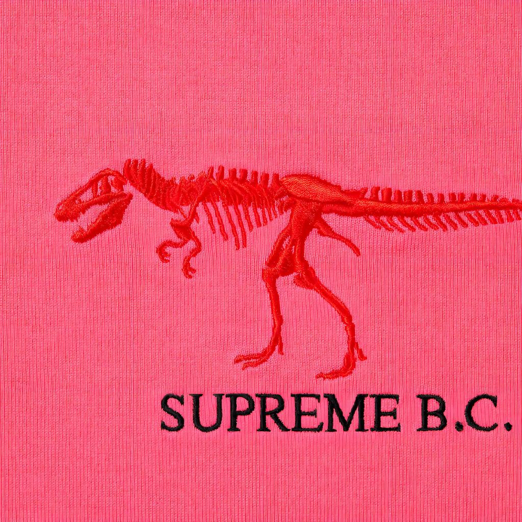 Supreme До нашей эры. Верх S/S SUP-FW22-728