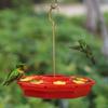 Outdoors Hanging Hummingbird Feeders With 8 Flowers Feeding Ports Leakproof Anti-bee Bird Feeder
