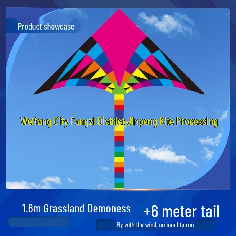 Great Plains Extra Large Rainbow Kite for Kids - Excellent Flying Cartoon Design