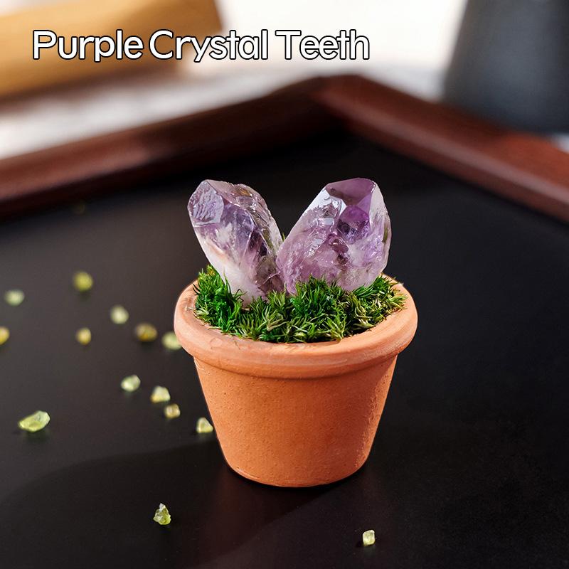 1PC Natural Crystal Stones Set Mini Clay Pot Base Amethyst Quartz Healing Gemstones Potted Plant Style Feng Shui Home Decor