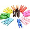 3.5cm Mini Wooden Clips, Laundry Clips, Colorful Photo Clips, Wedding Photo Paper Pegs, Display Clips, Thumb Tacks, Durable Multi-Function for Booths,