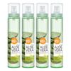 Aloe Mist 125ml 1+1+1+1 / Aloe Vera 95% Moisturizing