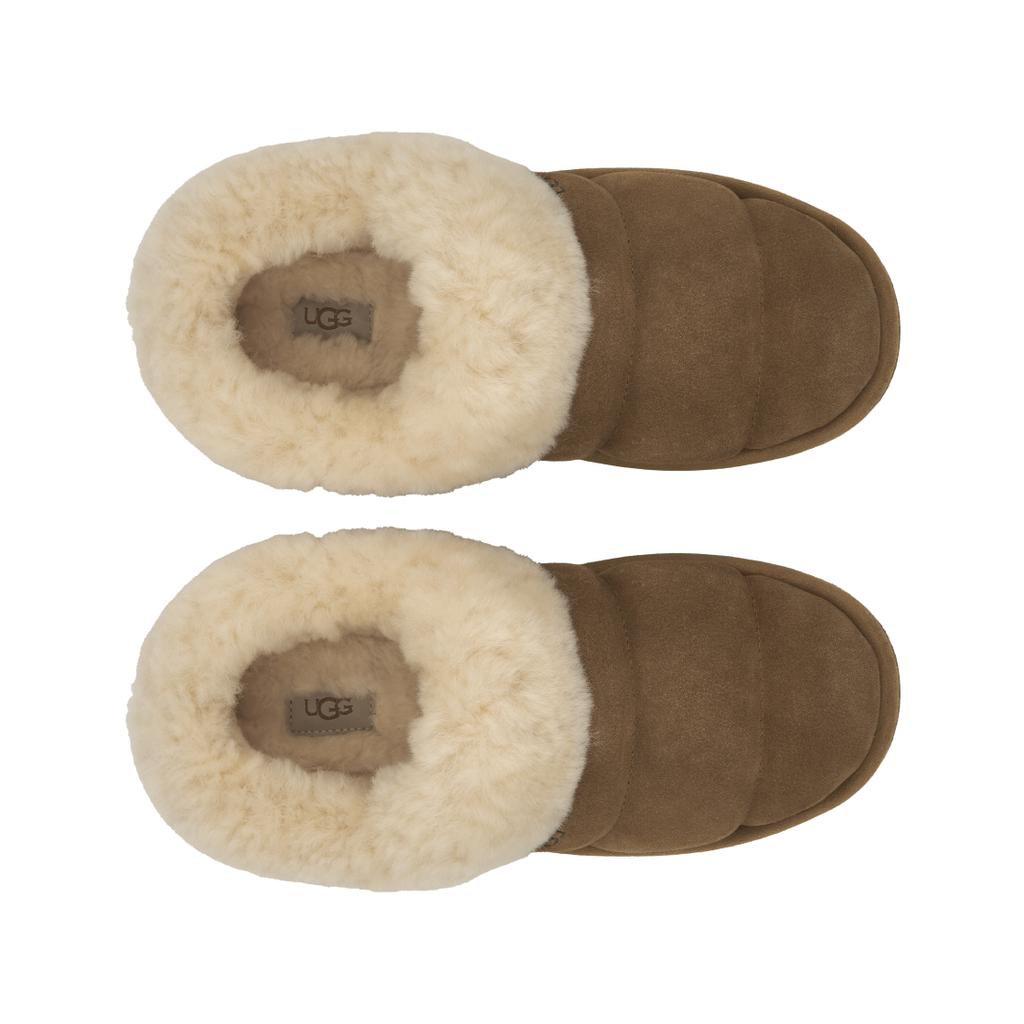 UGG Тапочки Tazzlita Slipper Chestnut женские кроссовки коричневые 1146390-CHE