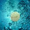 Aquarium Filter Media   Aquarium Bio   for Aquarium Filter 20PCS