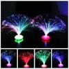 Color Changing Led Fiber Optic Night Light Lamp Stand Home Decor Colorful