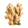 Game Themed Garlic Ginger Cosplay Costume For Adults Halloween Party And Stage Performance