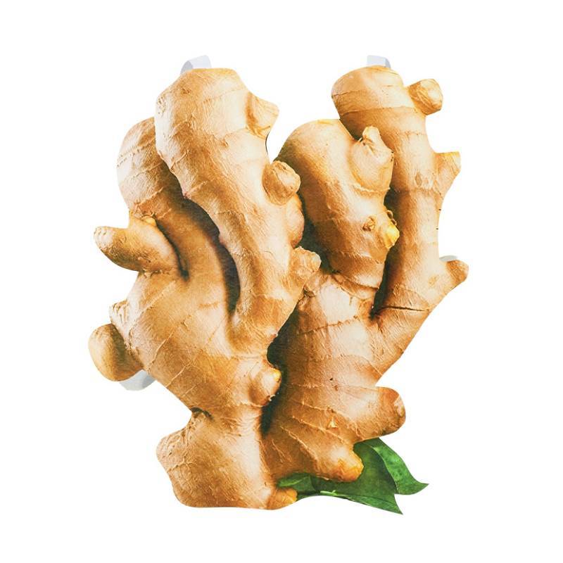 Game Themed Garlic Ginger Cosplay Costume For Adults Halloween Party And Stage Performance