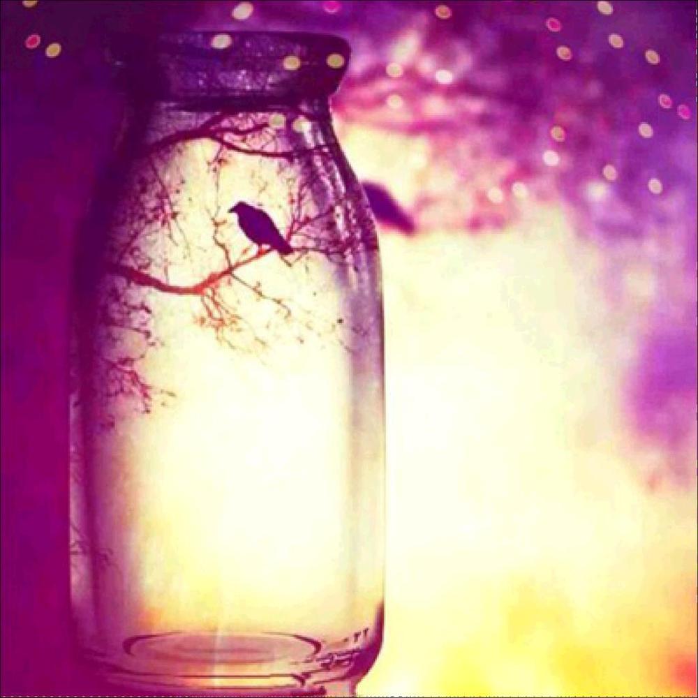 5D Diy Diamond Painting Cup Cross Stitch Sunset Landscape House Animal Penguin Mosaic Diamond Embroidery Home Decoration Gift