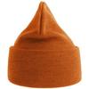 Atlantis Unisex Adult Pure Recycled Beanie