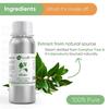 Naturalis Camphor Oil - Pure and Natural Steam Distilled Camphor Essential Oil for Skin, Hair and Aromatherapy - Camphor Mosquito Repellent - 250ml
