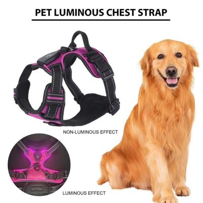 Регулируемый светодиодный шлейка для собаки, светящийся жилет для собаки, светящийся нагрудный ремень для домашних животных для ночных прогулок
