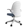 Youshu Ergonomic Office Chair
