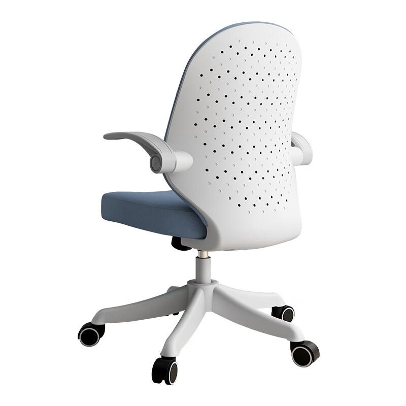 Youshu Ergonomic Office Chair