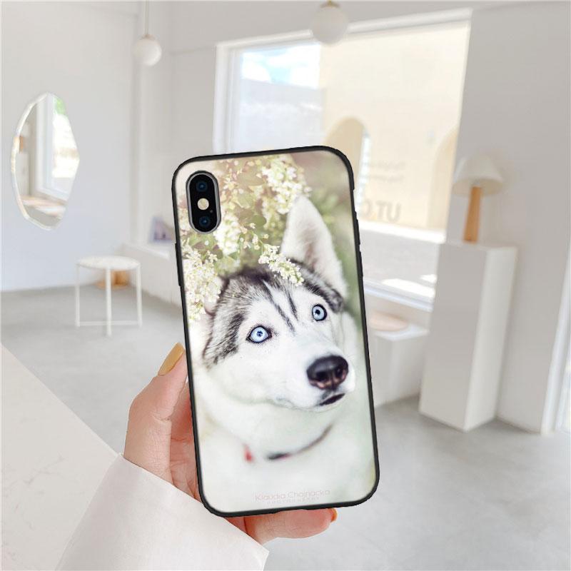 LO53 Husky Puppy Dog Soft Shell Phone Case for iPhone SE X XS XR 11 16E 17 Pro Max Air 8 7 6 6s Plus