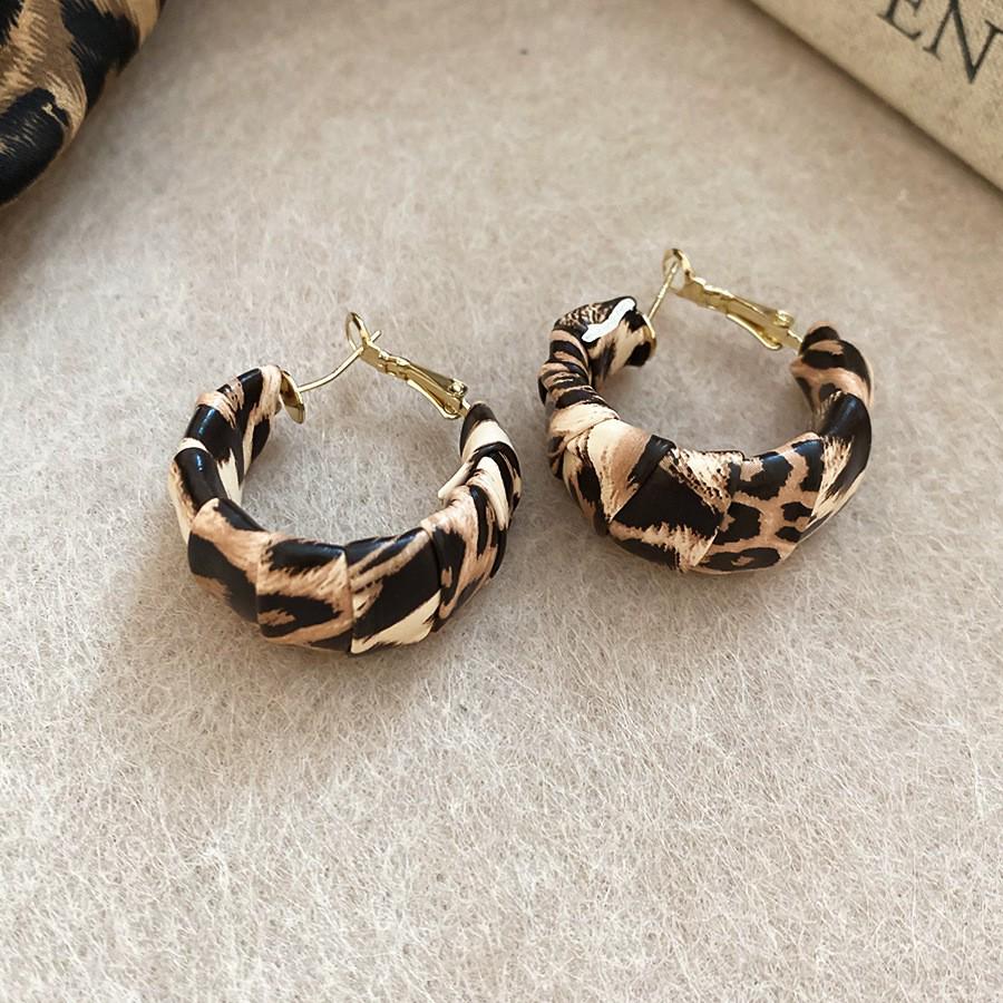 Серьги-пусеты Silver Needle Leopard Resin Geo Round, в стиле ретро Myer, нишевый дизайн для женщин