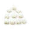 BROSS Auto Parts BCP004 10 Pieces Cable End Rope Dowel for Window Regulator Winder Mechanism Type BCP004 Fast Handling
