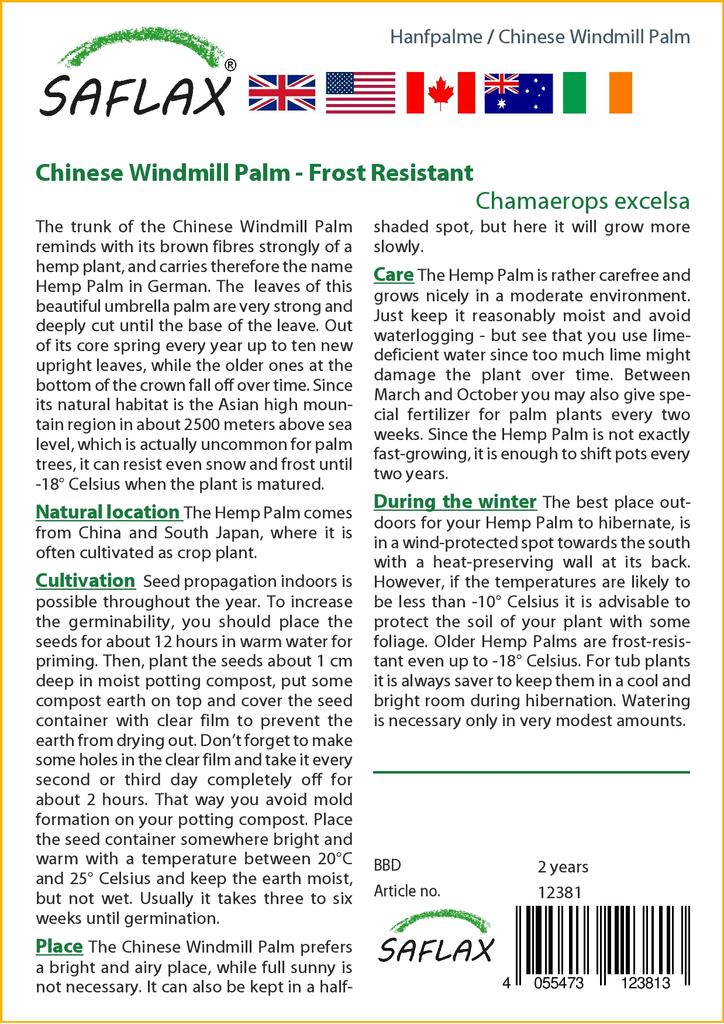 SAFLAX Пальма китайской ветряной мельницы - 10 семян - С горшечным субстратом для лучшего выращивания - Chamaerops excelsa