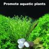 Таблетки CO2 для Водных Растений Таблетки с Медленным Высвобождением Углекислого Газа для Акваскейпа 100 Таблеток в Бутылке Долгодействующие Шипучие Таблетки Углекислого Газа