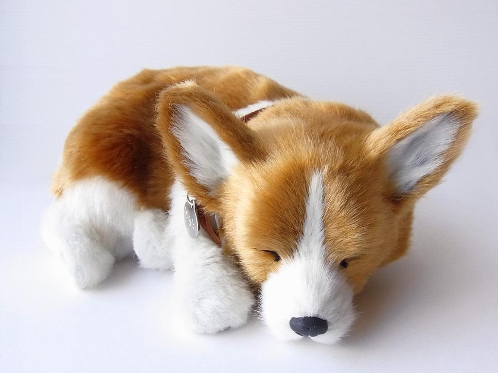 Ninja and Kino Perfect Pet Corgi Plush Perfect Dog Stuffed Kooikerhondje (Small) Toy, Realistic, Lifelike, Animal, Soothing, Moving, Gift,