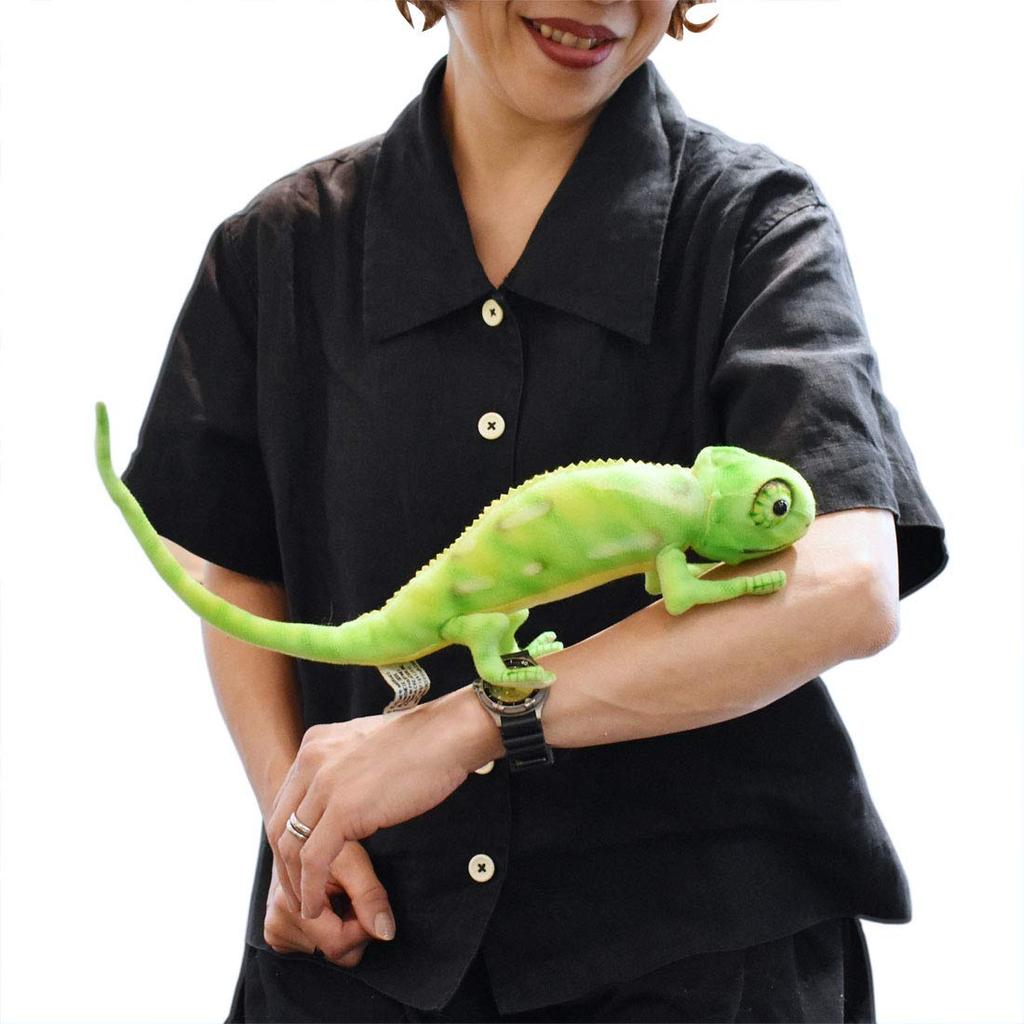 BH6937 HANSA Хамелеон 42