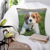 Квадратная наволочка на подушку Кавалер Кинг Чарльз спаниель Чехол для подушки Наволочка Накидка на декоративную подушку для дома Спальни Автомобиля