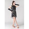 V Neck 1920s Sequin Fringe Charleston Flapper Latin Dance Dresses Costumes Dancewear