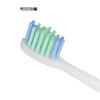 MEEEGOU MX826 Sonic Electric Toothbrush CN plug (adapter included)