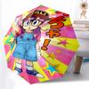 Printed AralePrinted Folding Umbrella,Outdoor,Leisure,And Travel Umbrella,Durable Umbrella Fabric,Birthday And Holiday Gift
