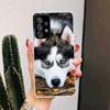 Siberian Husky Dog For Samsung Galaxy A16 A15 A14 A13 A56 A55 A54 A53 Phone Case A36 A35 A34 A33 A26 A25 A24 A23 A05S A04S A03S