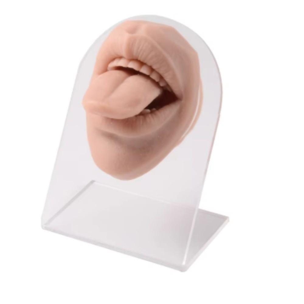 Lightweight Lips and Tongue Model Silicone Lip Stud Display Stand Girls Women