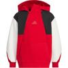 adidas Толстовки для детского сада с капюшоном Средние JN4369