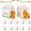 Blank Paper Gift Boxes Miniature Boxes Dog House Shaped Boxes Treat Gift Boxes  Home Decor