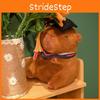 Doctor Student Capybara Plush Toy Stuffed Doll Graduation Gift 23cm Decoration