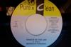 7inch Record DERRICK PARKER / VIRGO MAN - Hands In The Air / Gal U Dis NONE Pure & Clean 2006 Jamaica Reggae, Ska & Dub Used
